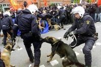 stupid_police_dog