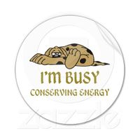 funny_energy_saving_dog_sticker-p217964281890281495tdcj_525