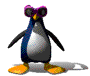 penguin12
